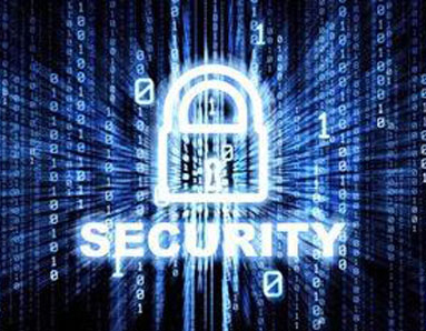 CIO:走出信息防护误区 保护数据安全